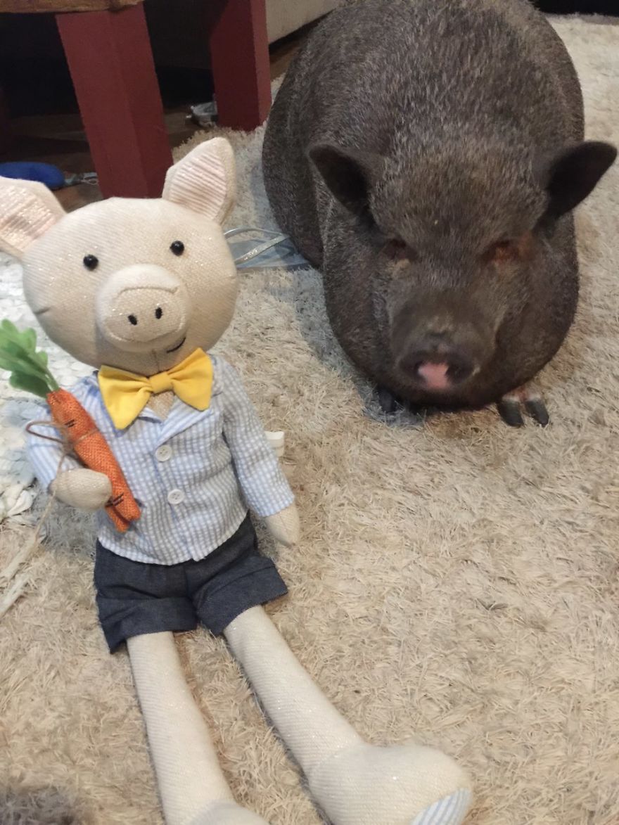 Dudley And Stewart (Aka Ernie The Rabbit)