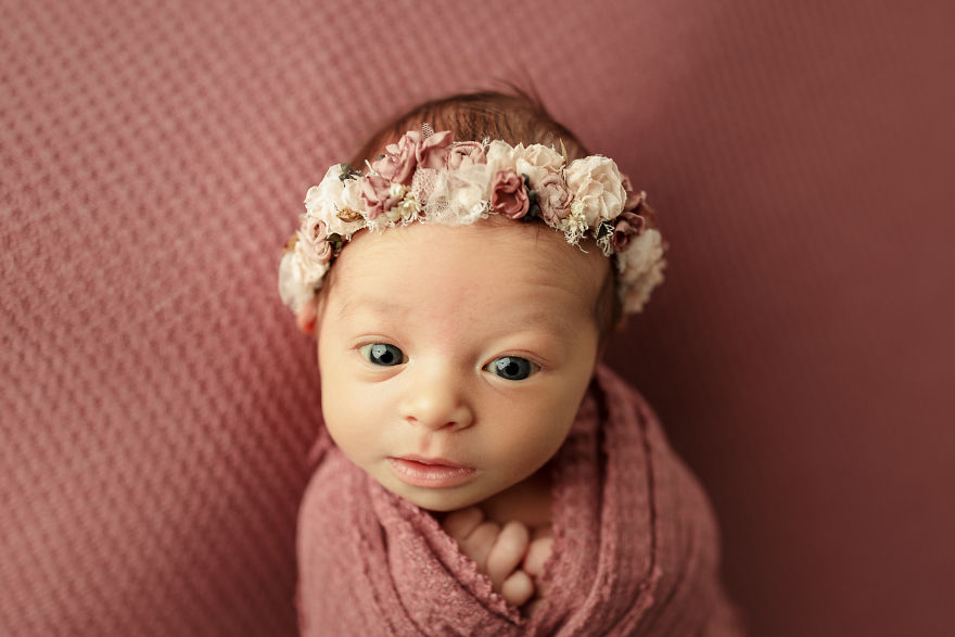 Chicago Newborn Photographer