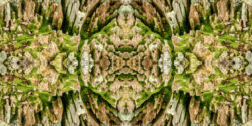 I Create Compositions Illustrating The Abstract Beauty Of Nature