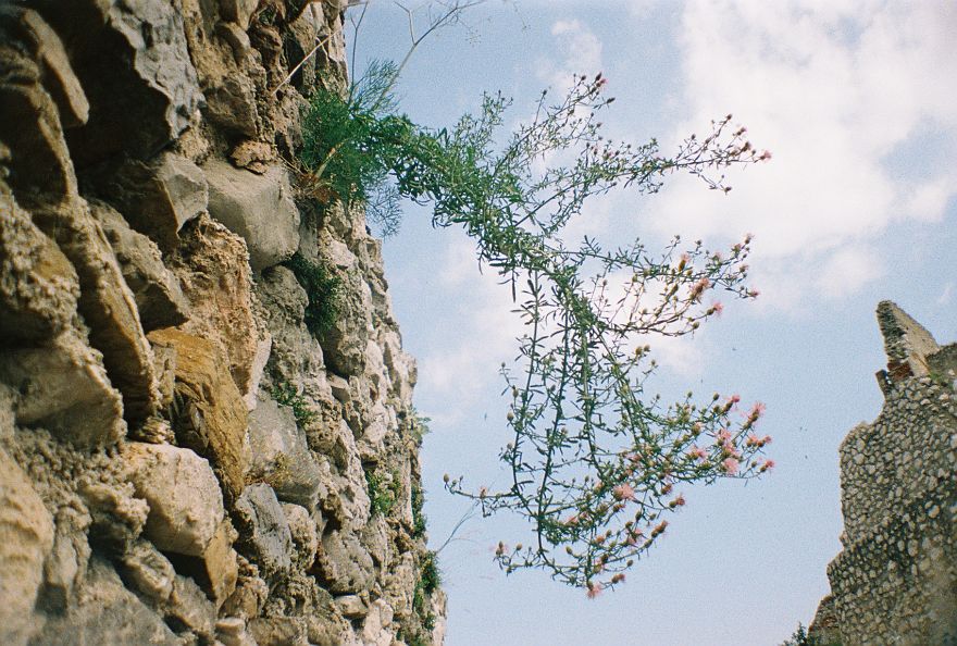 Analogue For Life - Travelling With A Simple Analogue Camera Analogue For Life - Travelling With A Simple Analogue Camera
