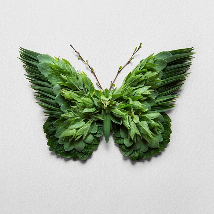 30 Delicate Animal Portraits Created From Things Found In Nature By Raku Inoue