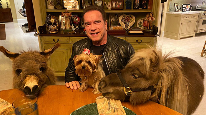 People Notice That Arnold Schwarzenegger Is Super Wholesome On Reddit, And Here Are 9 Examples