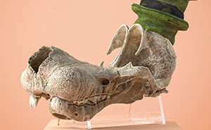 Anatomically Correct Skulls Of Popular Cartoon Characters By Czech Artist Filip Hodas