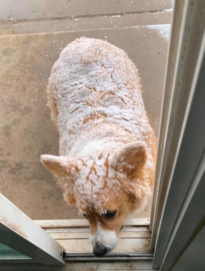 Can I Come In Now Mom?