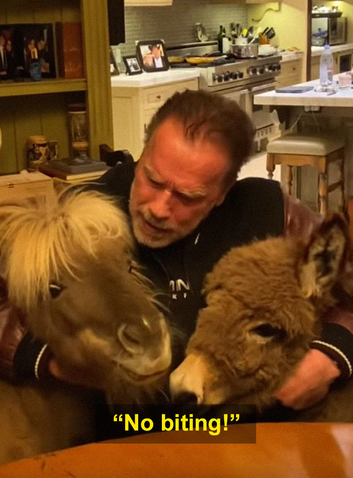 Arnold Schwarzenegger Is Self-Isolating At Home With His Mini Horse, Whiskey And Pet Donkey During Quarantine