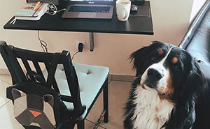Hey, Pandas Who Are Now Forced To Work From Home, Post Your Workspace Setups