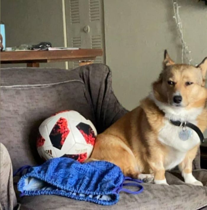 Kali Disapproves Of The Soccer Ball Taking Her Seat