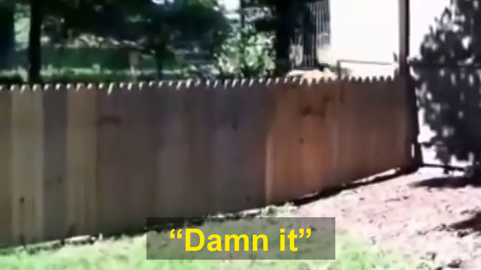 Hilarious Video Of A Man Showing Off His New Fence To Keep His Dog From Running Away Is Going Viral Again