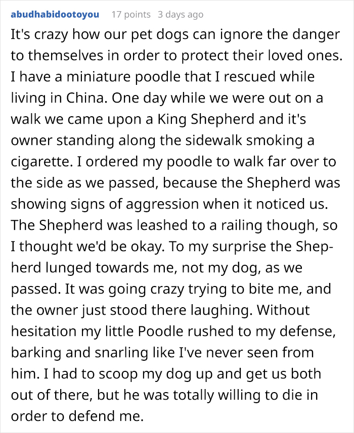 Someone Asks Whether Dog Owners Would Give 5 Years Of Their Life To Their Dog, And This Reply Goes Viral