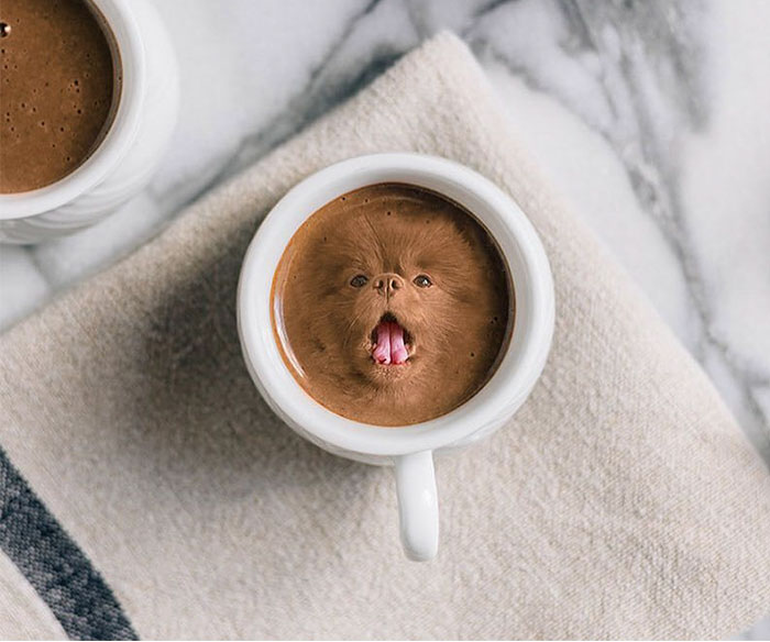 Instagram Account Photoshops Dogs Into Food And It’s Hilariously Weird (90 Pics)