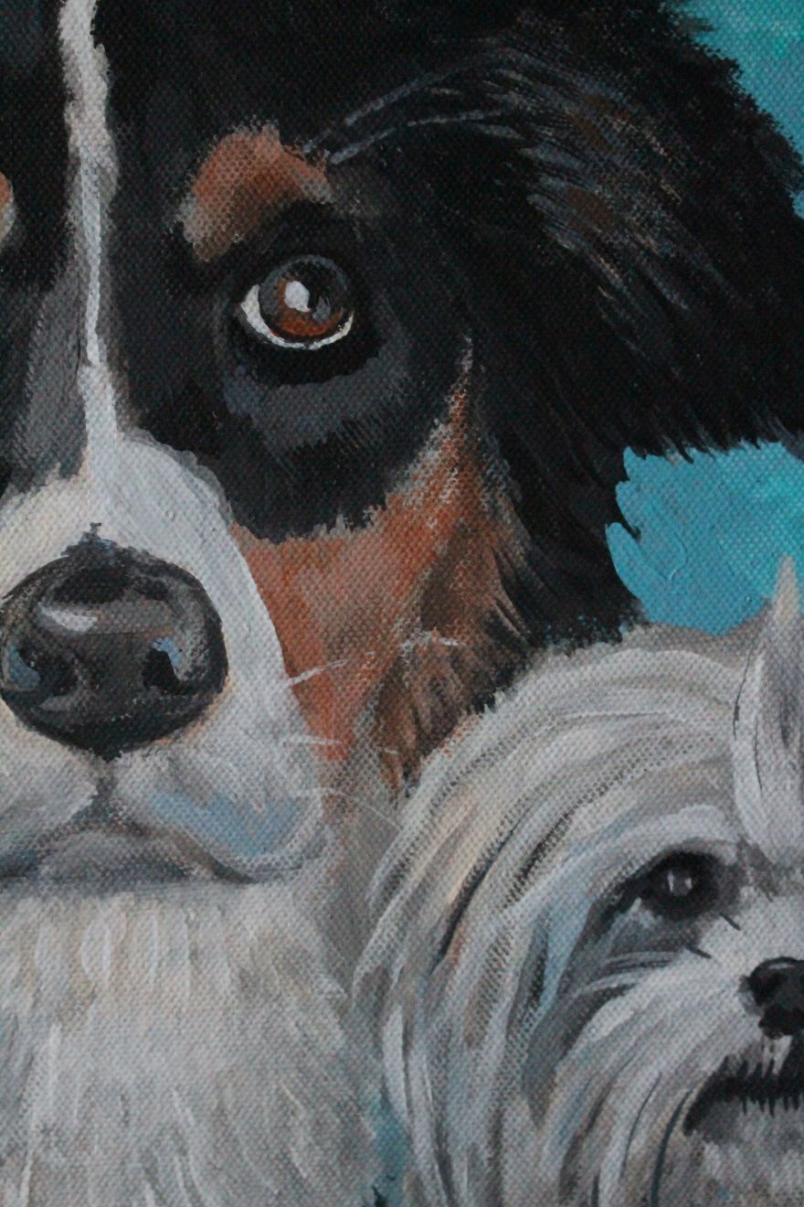 Dogs Portraits As A Comission
