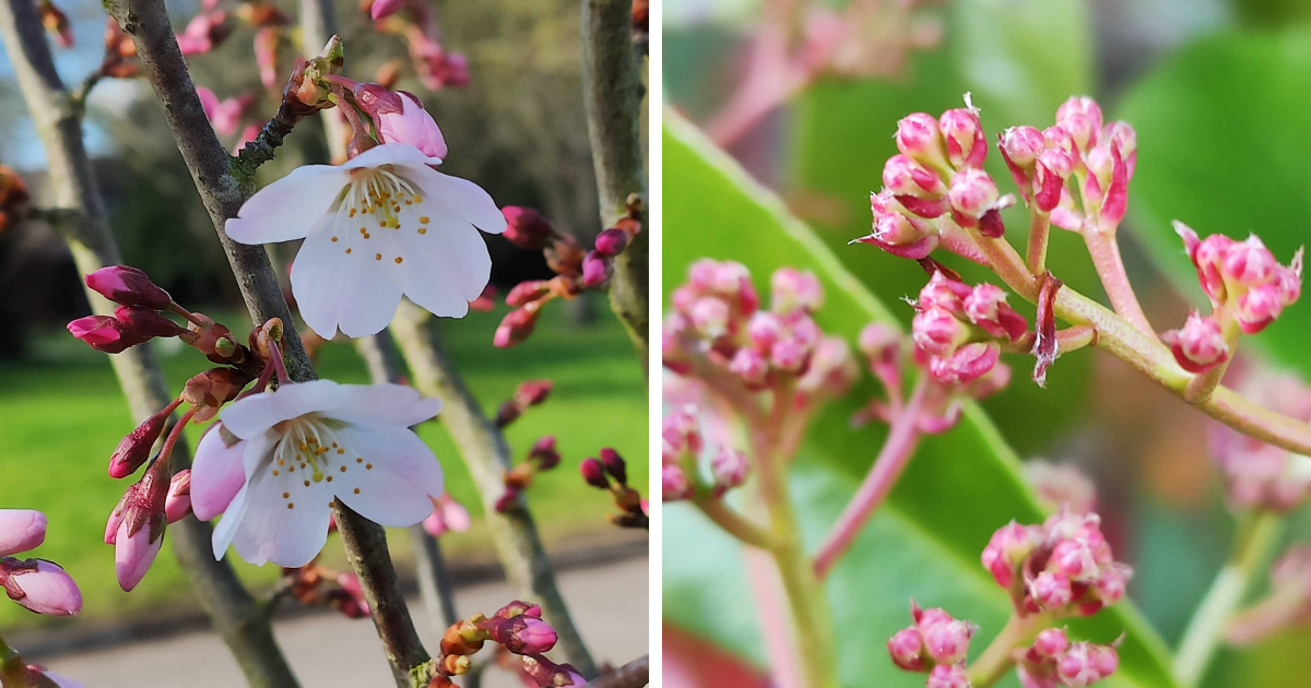 I Capture Spring From A Different Perspective | Bored Panda