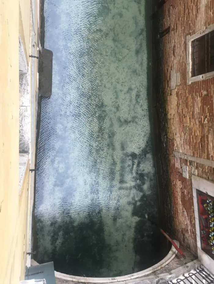 El agua de los canales de Venecia se vuelve cristalina durante la cuarentena por el coronavirus