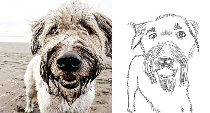 Person Shares What They Got When They Donated $45 To The Humane Society For 3 Hand-Drawn Portraits Of Their Pets