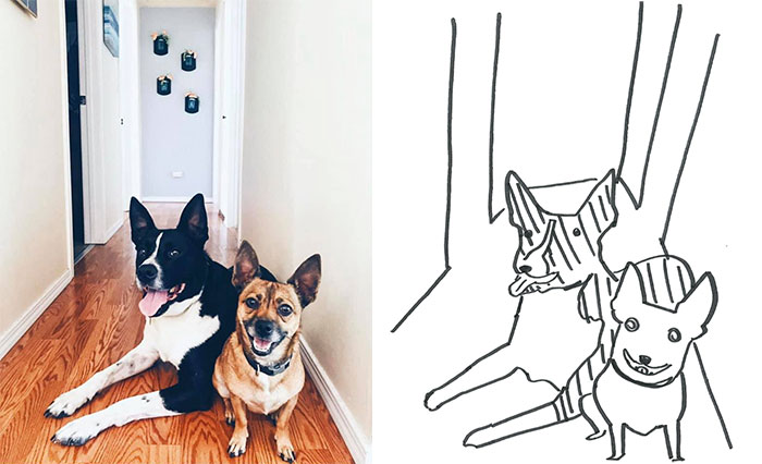 Person Shares What They Got When They Donated $45 To The Humane Society For 3 Hand-Drawn Portraits Of Their Pets