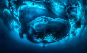 11 Stunning Photos Of What’s Hiding Under The Tip Of The Iceberg By Tobias Friedrich