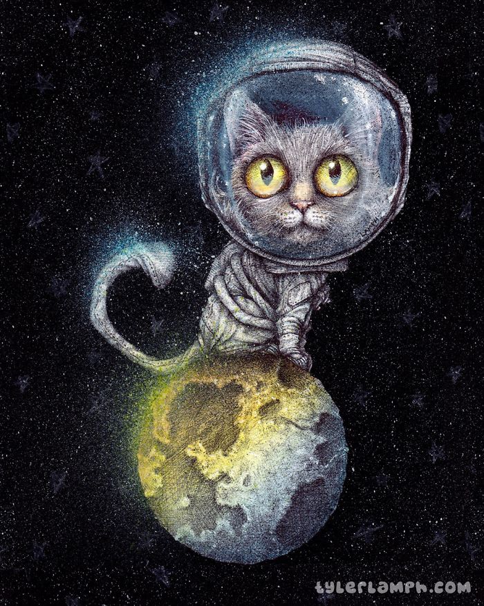 I Don’t Care What You Say, This Pussy Is Out Of This World 🌔