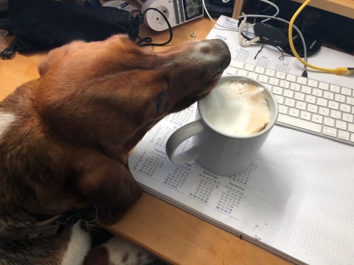 That's My Coffee Now