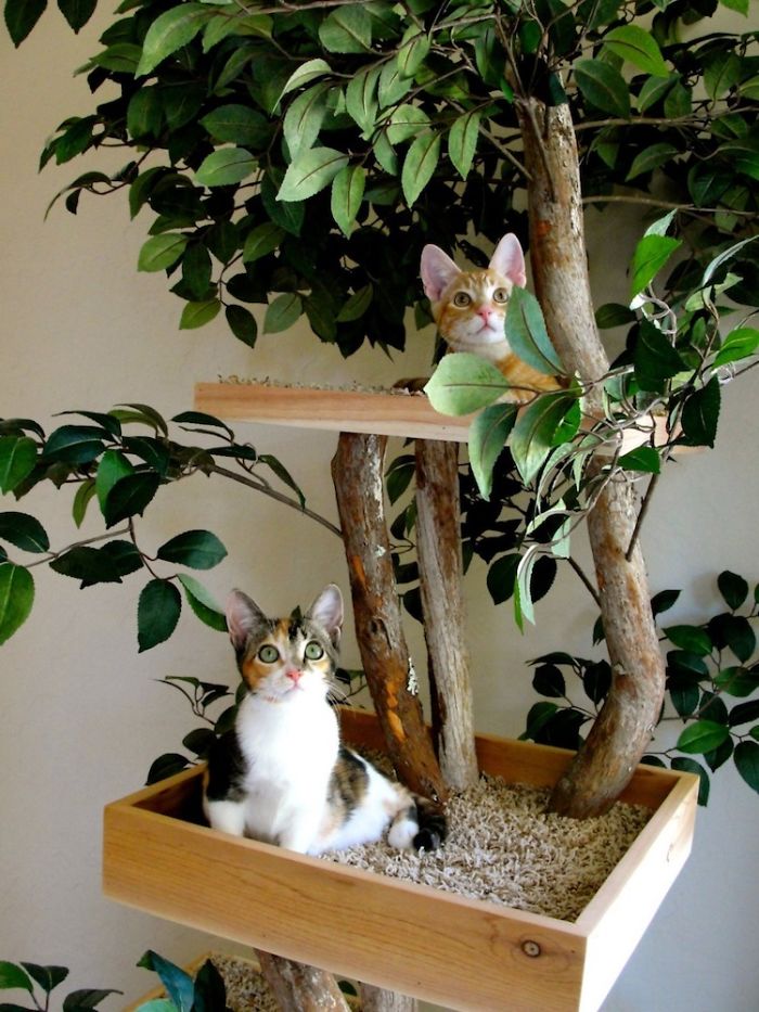 Indoor Cat Towers That Look Like Real Trees Are A Thing And They're Absolutely Beautiful