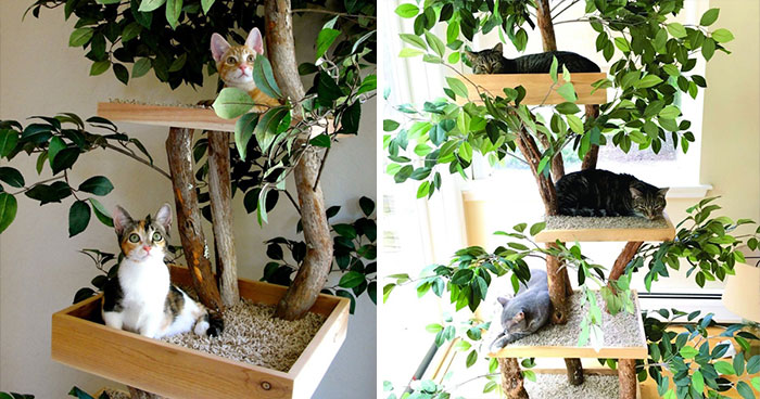 Indoor Cat Towers That Look Like Real Trees Are A Thing And They’re Absolutely Beautiful