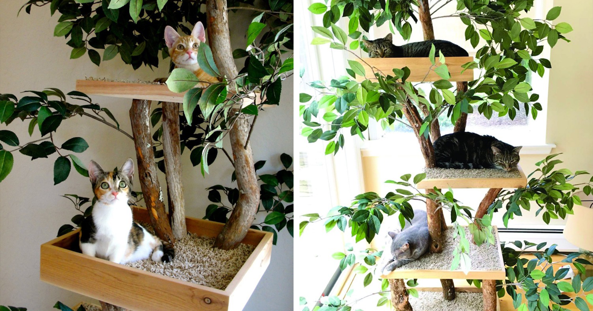 These Indoor Cat Towers Made From Real Trees Provide A Lifelike Outdoor Experience For Pet Cats