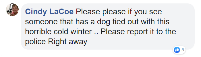 Cruel Owners That Leave Their Dogs In The Snow Can Now Get Jailed Over It