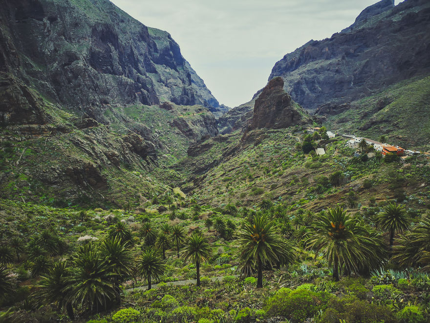 8 Photos Proving The Rich Variety Of Tenerife