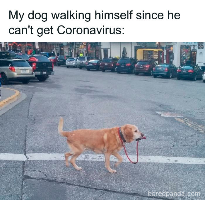 Coronavirus-Jokes