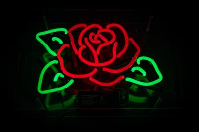 neon-rose-5e5bed3738f69.jpg