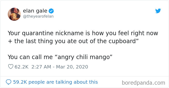 Twitter Shared 25 Funny Quarantine Names Using How They Feel Plus The Last Thing They Ate From The Cupboard Bored Panda
