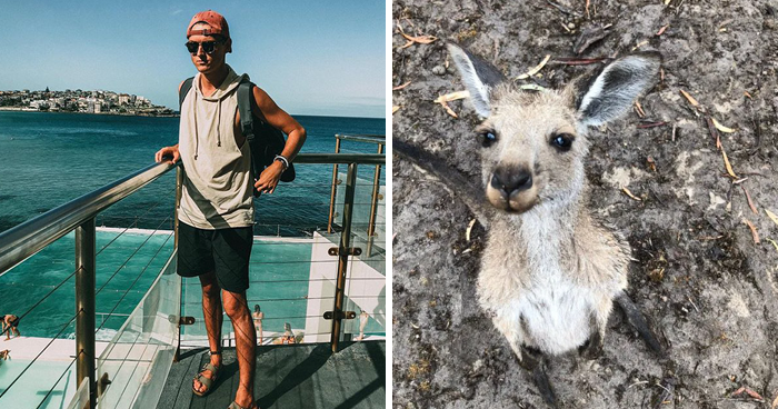 Man Gets Drunk On New Year’s Eve And Adopts A Baby Kangaroo, Realizes It Months Later