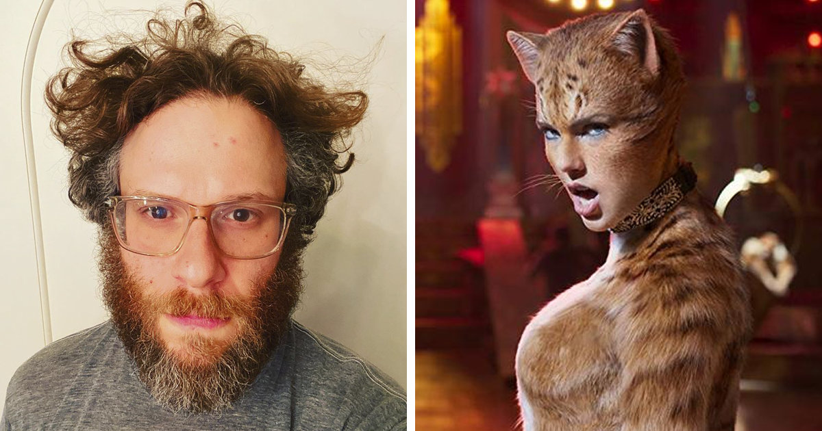 Seth Rogen Watches Cats While High Writes A Hilarious Review