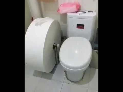 toilet-paper-funny-5e7ba9bf47e65.jpg