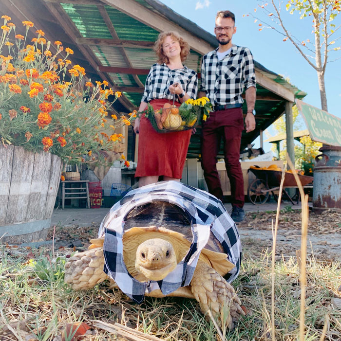 Couple Dress Their Pet Tortoise In Matching Outfits For Photos, Many People Call Them Out For Animal Cruelty