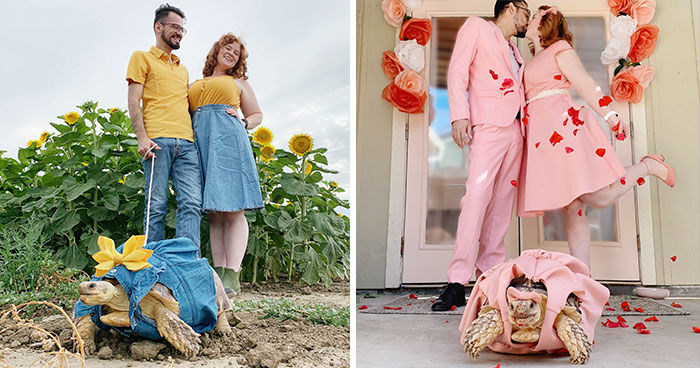 Couple Dress Their Pet Tortoise In Matching Outfits For Photos, Many People Call Them Out For Animal Cruelty