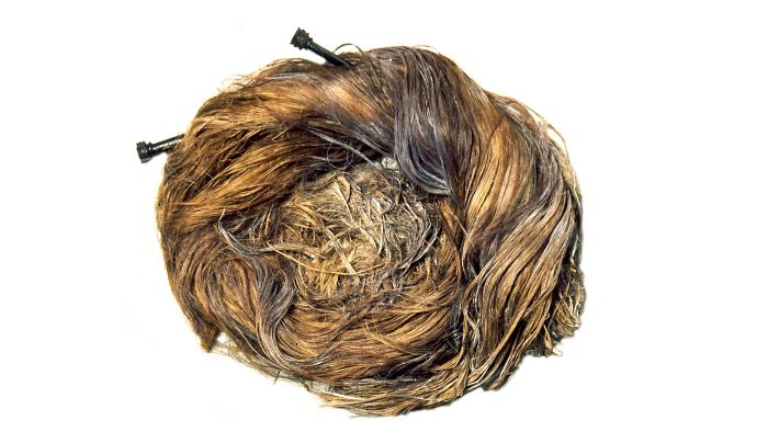 The Yorkshire Museum Started Showing Off Their 3rd/4th Century Hair Bun From The Burial Of A Roman Lady, Still With The Jet Pins In Place
