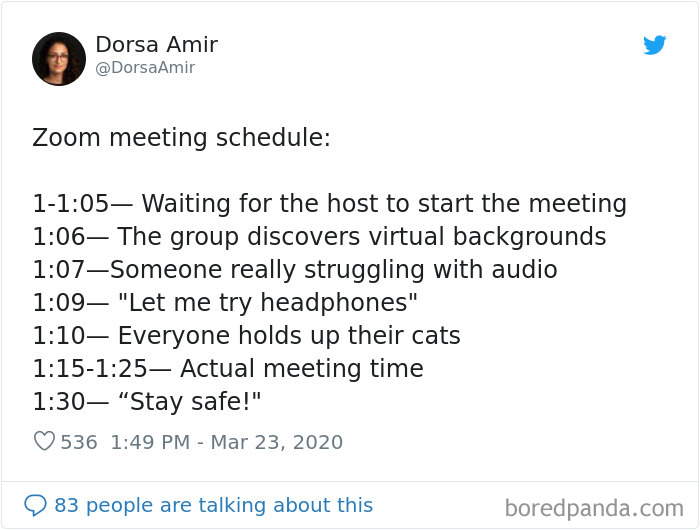 35 Best Posts About The Everyday Realities Of Zoom Meetings | Bored Panda