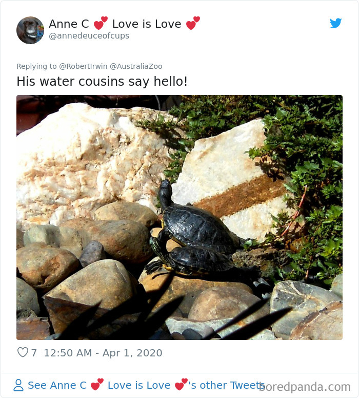 Robert Irwin Shares Photo Of His Self-Isolation Buddy, A Tortoise Named Igloo