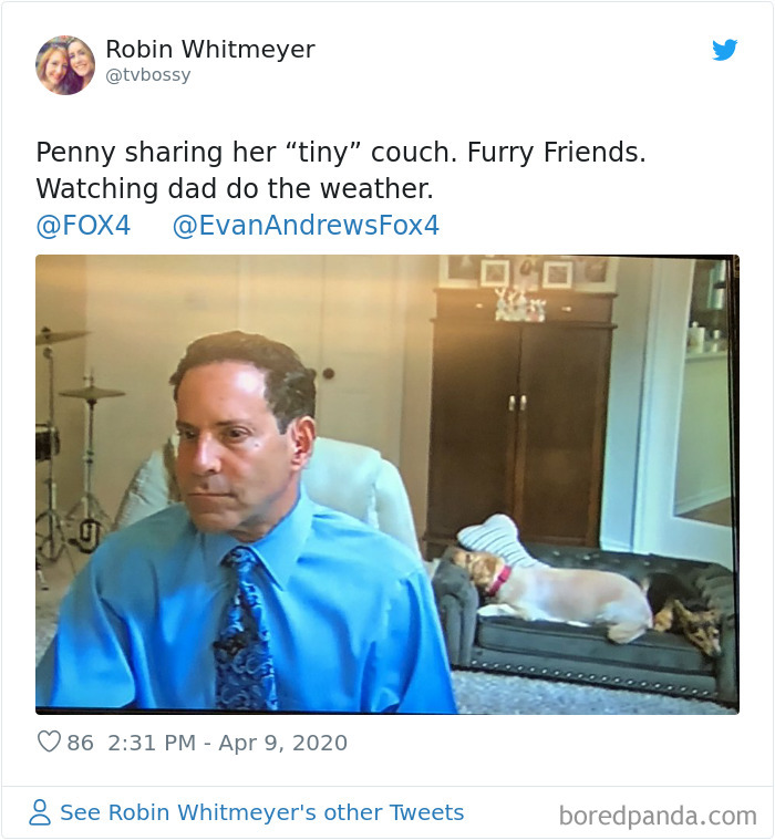 Weatherman Brightens Up People’s Days By Letting His Pets Hang Out In The Background During Broadcasts
