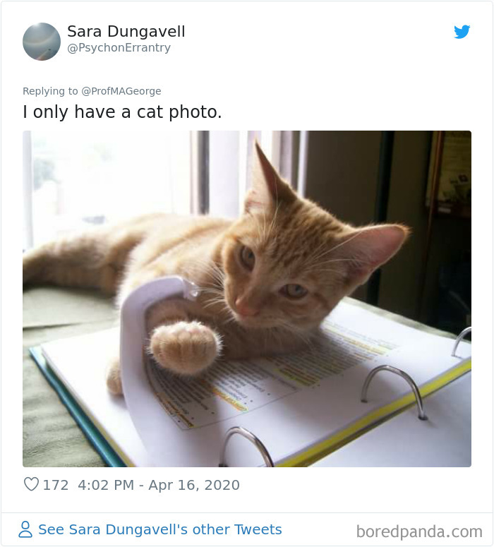 Students-Share-Photos-Pets-Doing-Class-Work