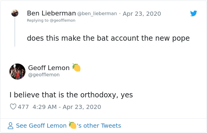 The Pope “Insults” Bats On Twitter, Gets Schooled By A Bat Expert