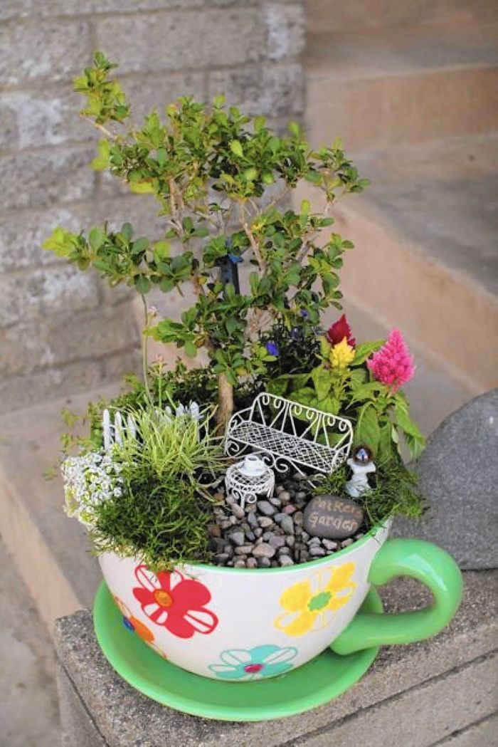 Adorable-Mini-Tea-Gardens