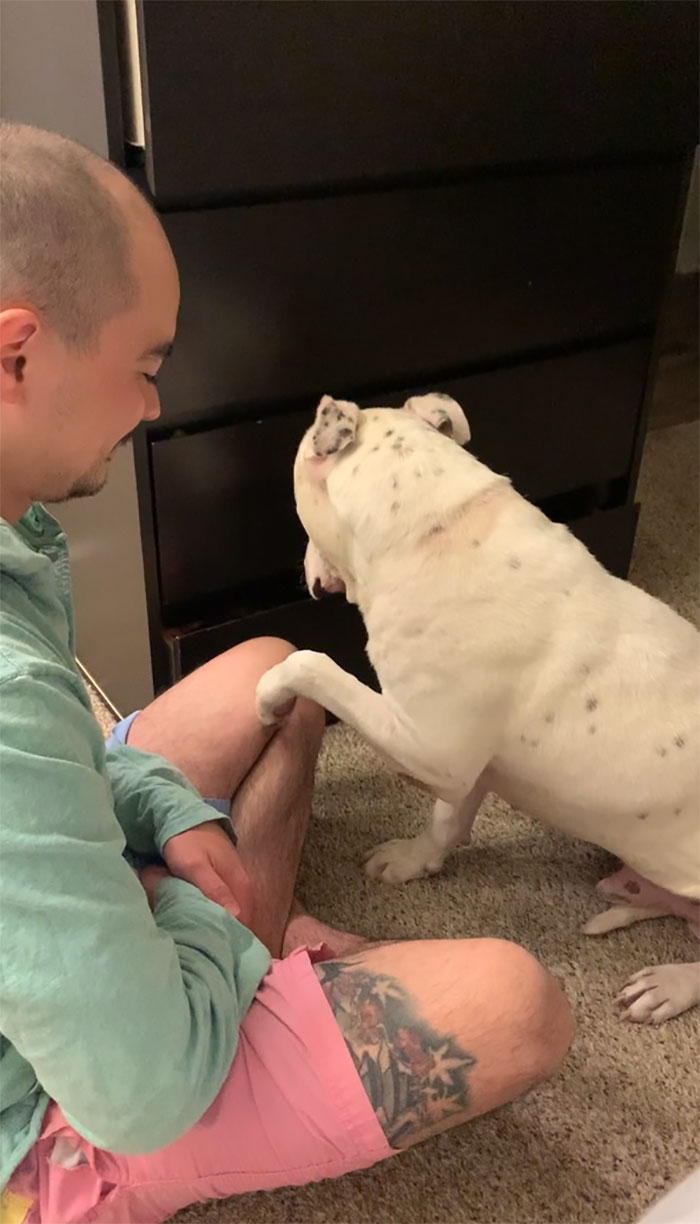 Timid Pup Comes Up With A Super Cute Way To Ask His Foster Parents For More Scratchies And Love