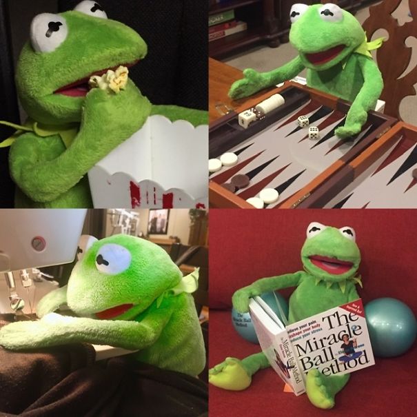 Yegkermit Every Day Life On Ig Yegkermit Every Day Life On Ig