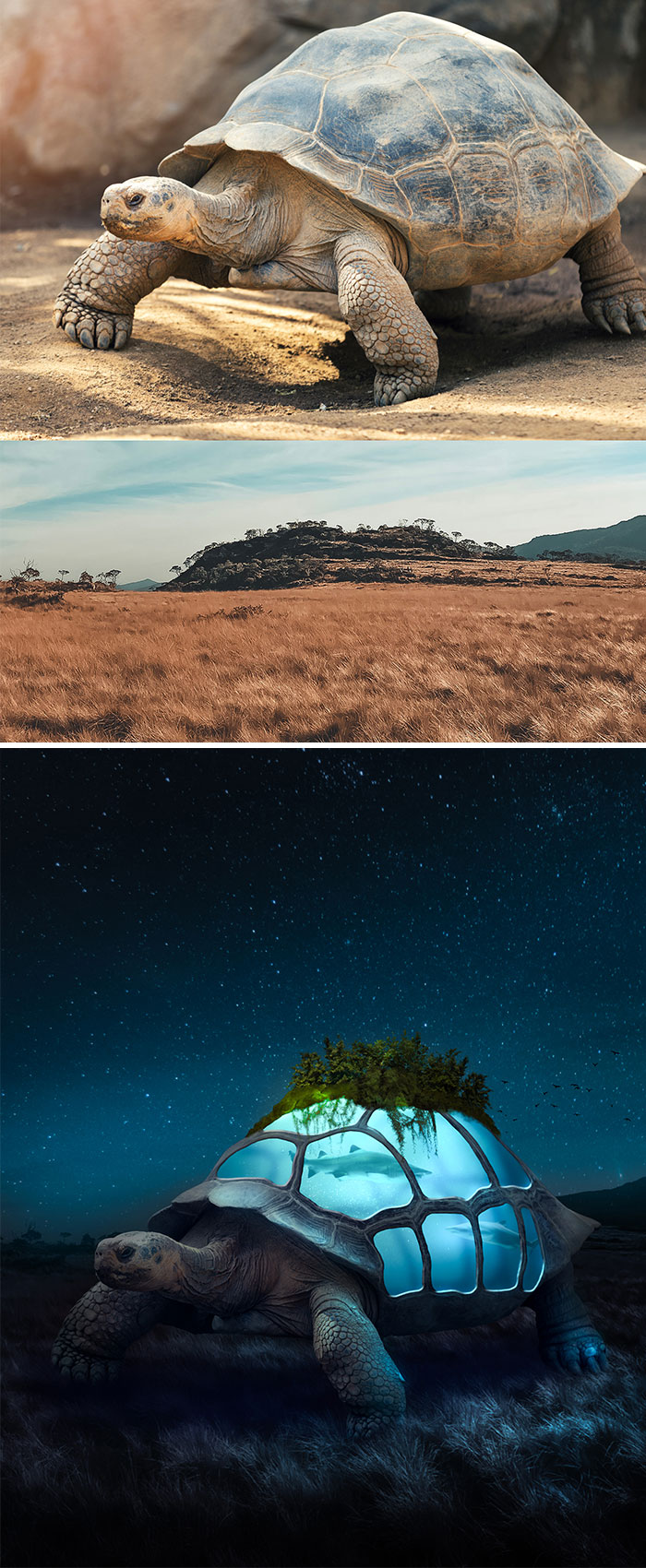 Artist Makes The World Glow In Photoshop