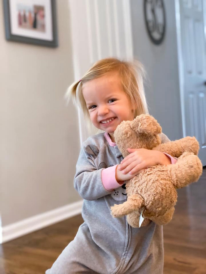 2-Year-Old Girl Loses Her Beloved Stuffed Dog At The Hotel, Staff Documents His Adventures Before Shipping Him Back Home