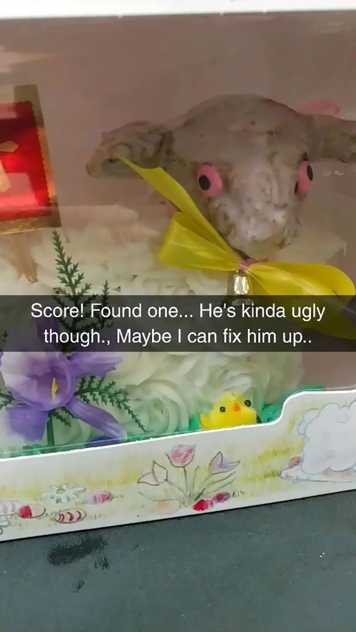 Woman Buys Ugly Lamb Cake And Decides To Fix It, Ruins Easter In The Process