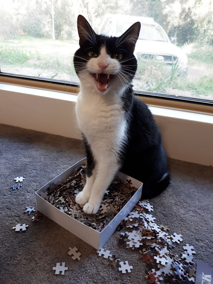 This Puzzle Is Mine! All Mine!
