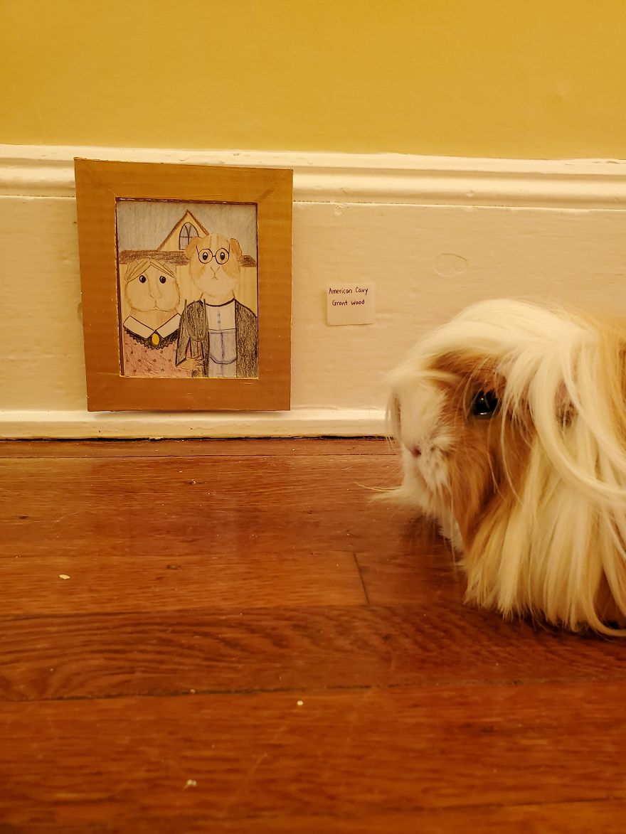 I've Made A Fine Art Museum For My Guinea Pig, And She Seems To Have Enjoyed It