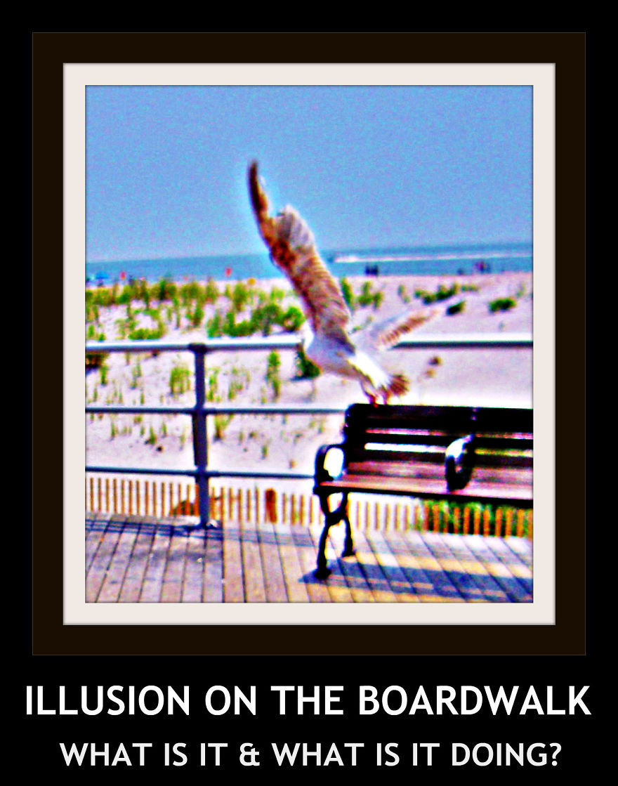 Illusion On The Boardwalk Illusion On The Boardwalk